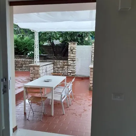 公寓 Olivo House 2